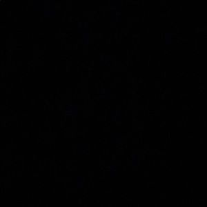 Meet your Posher, Elle